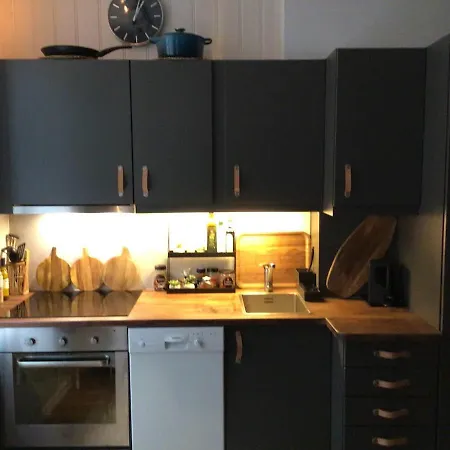 Gruenerlokka, Close To Center Apartment *