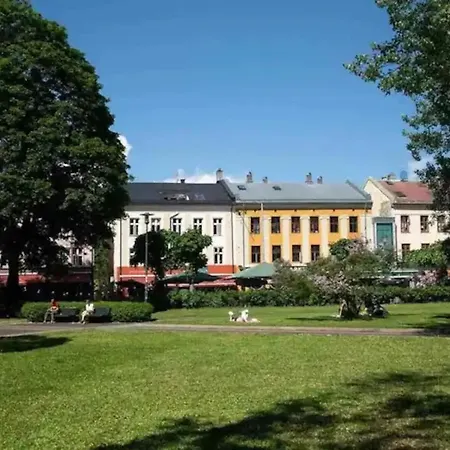 Gruenerlokka, Close To Center